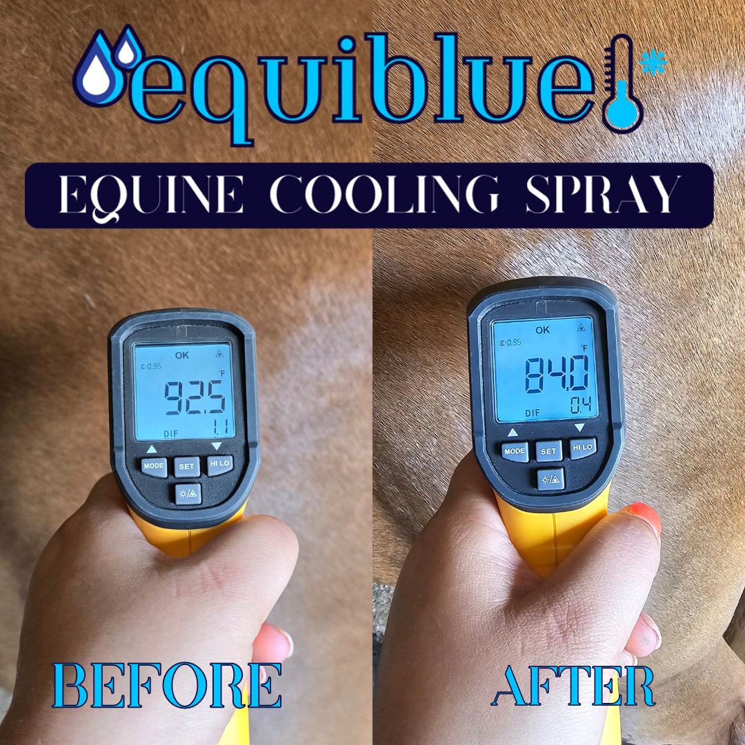 EquiBlue Equine Cooling Spray 8 oz